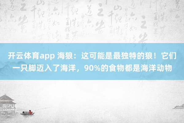 开云体育app 海狼：这可能是最独特的狼！它们一只脚迈入了海洋，90%的食物都是海洋动物