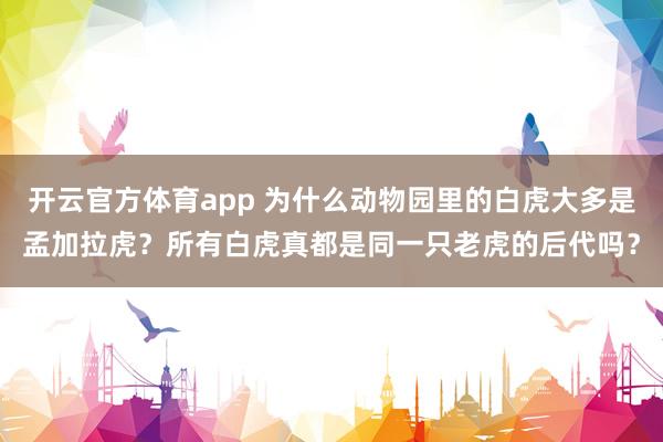 开云官方体育app 为什么动物园里的白虎大多是孟加拉虎？所有白虎真都是同一只老虎的后代吗？