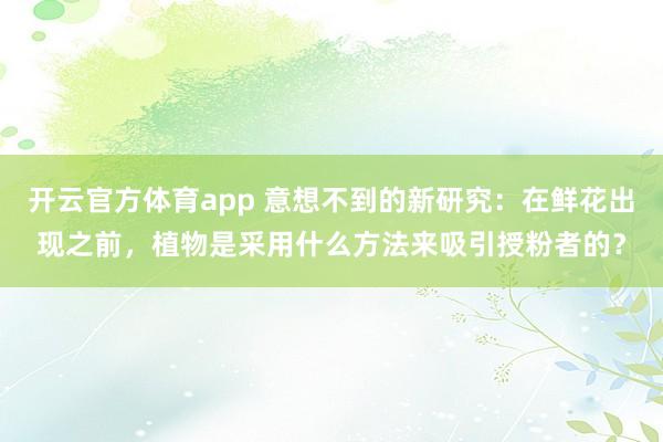开云官方体育app 意想不到的新研究：在鲜花出现之前，植物是采用什么方法来吸引授粉者的？