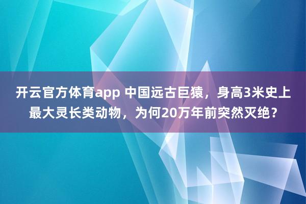 开云官方体育app 中国远古巨猿，身高3米史上最大灵长类动物，为何20万年前突然灭绝？