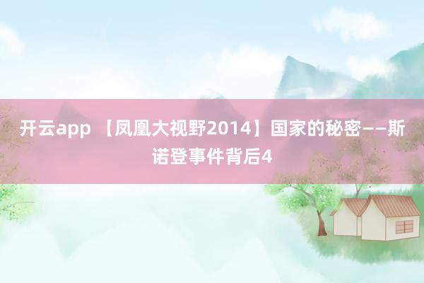 开云app 【凤凰大视野2014】国家的秘密——斯诺登事件背后4