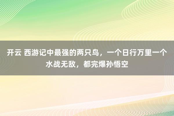 开云 西游记中最强的两只鸟，一个日行万里一个水战无敌，都完爆孙悟空