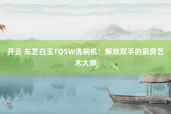 开云 东芝白玉TQ5W洗碗机：解放双手的厨房艺术大师