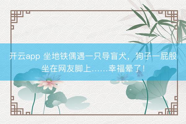 开云app 坐地铁偶遇一只导盲犬,狗子一屁股坐在网友脚上……幸福晕了!