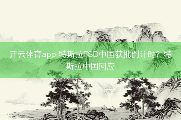 开云体育app 特斯拉FSD中国获批倒计时？特斯拉中国回应