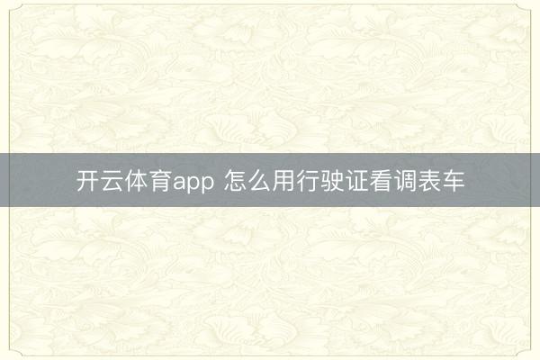 开云体育app 怎么用行驶证看调表车
