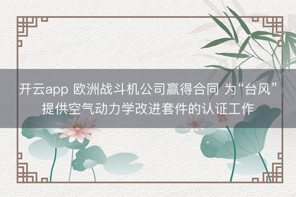 开云app 欧洲战斗机公司赢得合同 为“台风”提供空气动力学改进套件的认证工作
