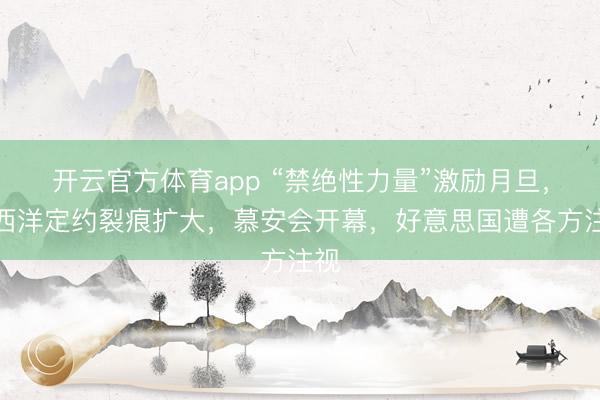 开云官方体育app “禁绝性力量”激励月旦，大西洋定约裂痕扩大，慕安会开幕，好意思国遭各方注视