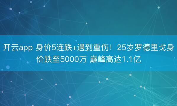 开云app 身价5连跌+遇到重伤！25岁罗德里戈身价跌至5000万 巅峰高达1.1亿