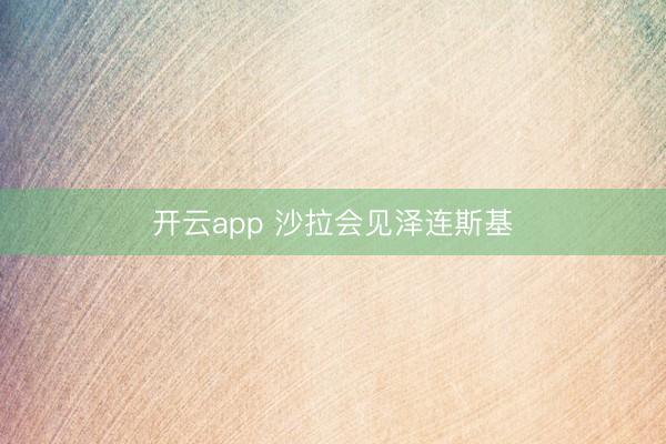 开云app 沙拉会见泽连斯基