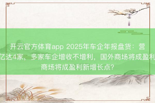开云官方体育app 2025年车企年报盘货：营收超3000亿达4家，多家车企增收不增利，国外商场将成盈利新增长点？