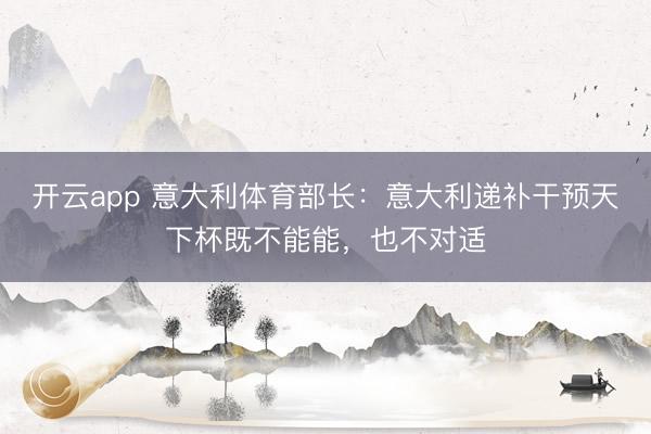 开云app 意大利体育部长：意大利递补干预天下杯既不能能，也不对适