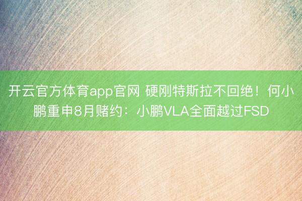 开云官方体育app官网 硬刚特斯拉不回绝！何小鹏重申8月赌约：小鹏VLA全面越过FSD
