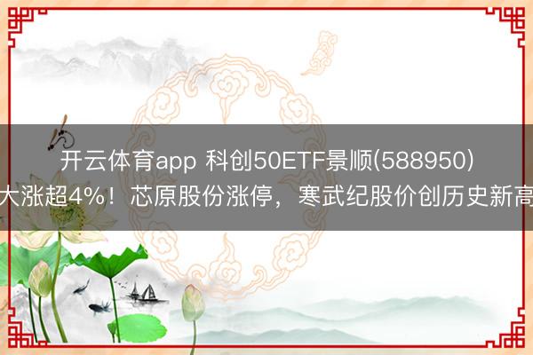 开云体育app 科创50ETF景顺(588950)大涨超4%！芯原股份涨停，寒武纪股价创历史新高