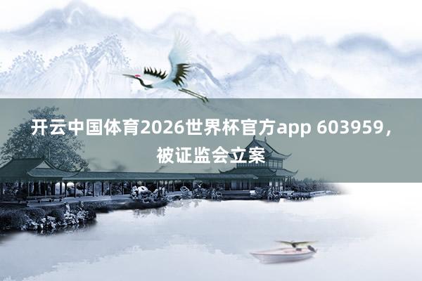 开云中国体育2026世界杯官方app 603959，被证监会立案