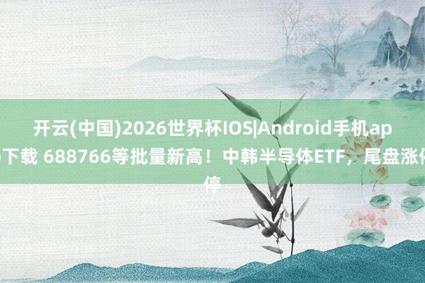 开云(中国)2026世界杯IOS|Android手机app下载 688766等批量新高！中韩半导体ETF，尾盘涨停