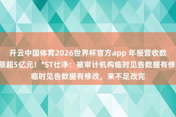 开云中国体育2026世界杯官方app 年报营收数字“打架”，差额超5亿元！*ST仕净：被审计机构临时见告数据有修改，来不足改完