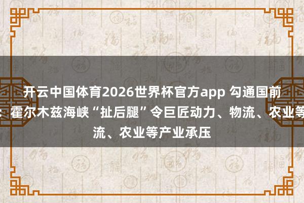 开云中国体育2026世界杯官方app 勾通国前副文告长：霍尔木兹海峡“扯后腿”令巨匠动力、物流、农业等产业承压