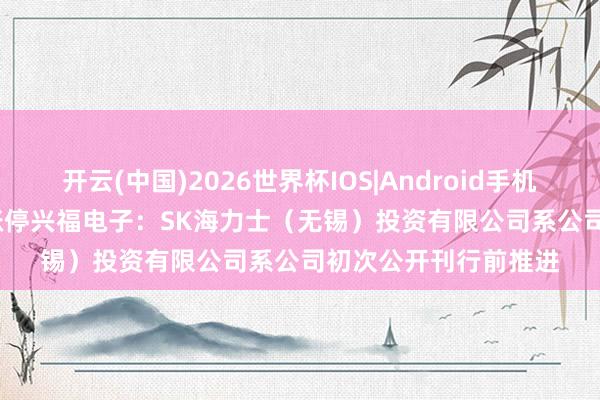 开云(中国)2026世界杯IOS|Android手机app下载 “20cm”涨停兴福电子：SK海力士（无锡）投资有限公司系公司初次公开刊行前推进