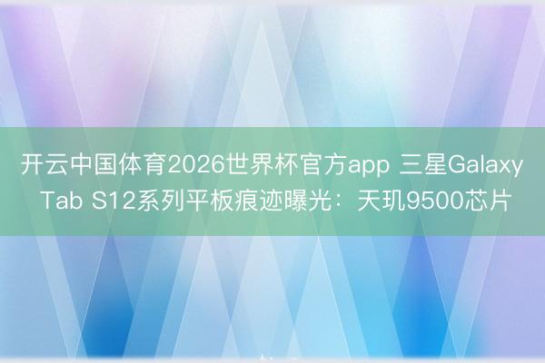 开云中国体育2026世界杯官方app 三星Galaxy Tab S12系列平板痕迹曝光：天玑9500芯片
