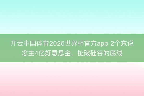 开云中国体育2026世界杯官方app 2个东说念主4亿好意思金，扯破硅谷的底线
