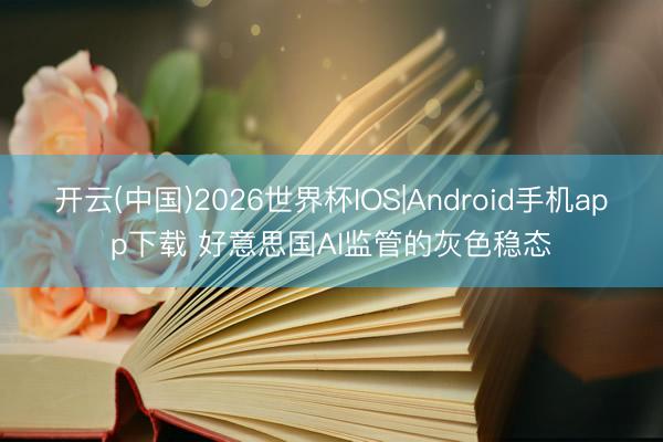 开云(中国)2026世界杯IOS|Android手机app下载 好意思国AI监管的灰色稳态