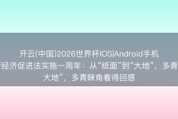 开云(中国)2026世界杯IOS|Android手机app下载 民营经济促进法实施一周年：从“纸面”到“大地”，多青睐角看得回感