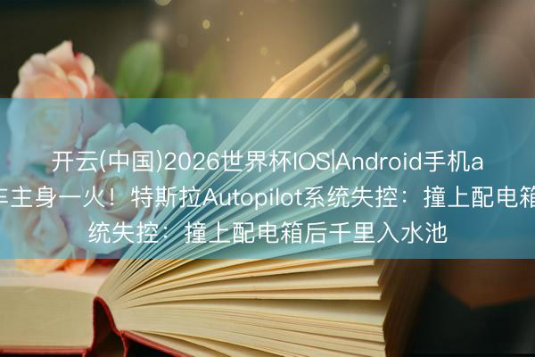 开云(中国)2026世界杯IOS|Android手机app下载 87岁车主身一火!特斯拉Autopilot系统失控:撞上配电箱后千里入水池