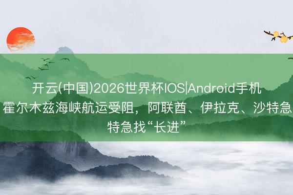 开云(中国)2026世界杯IOS|Android手机app下载 霍尔木兹海峡航运受阻，阿联酋、伊拉克、沙特急找“长进”