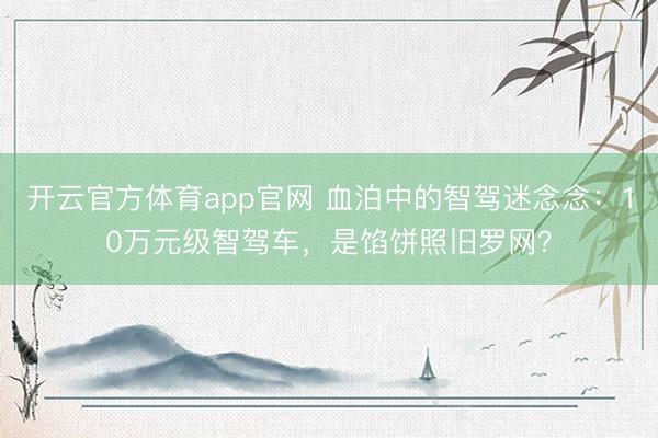 开云官方体育app官网 血泊中的智驾迷念念：10万元级智驾车，是馅饼照旧罗网？