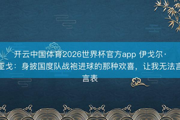 开云中国体育2026世界杯官方app 伊戈尔·蒂亚戈：身披国度队战袍进球的那种欢喜，让我无法言表