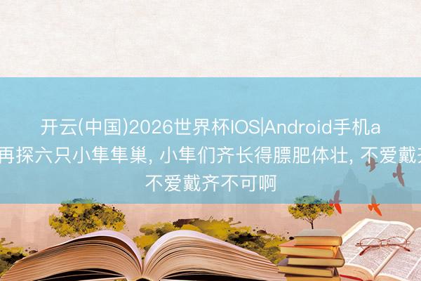 开云(中国)2026世界杯IOS|Android手机app下载 再探六只小隼隼巢， 小隼们齐长得膘肥体壮， 不爱戴齐不可啊