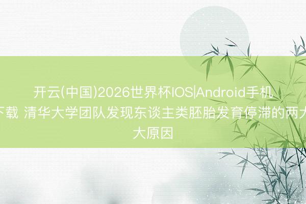 开云(中国)2026世界杯IOS|Android手机app下载 清华大学团队发现东谈主类胚胎发育停滞的两大原因